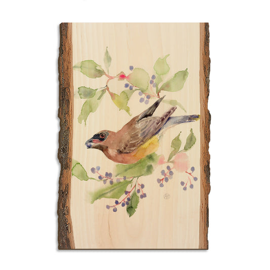 Henning's Berry Picker - Live Edge Magnet Live Edge Postcard (5pk // $2.80ea)