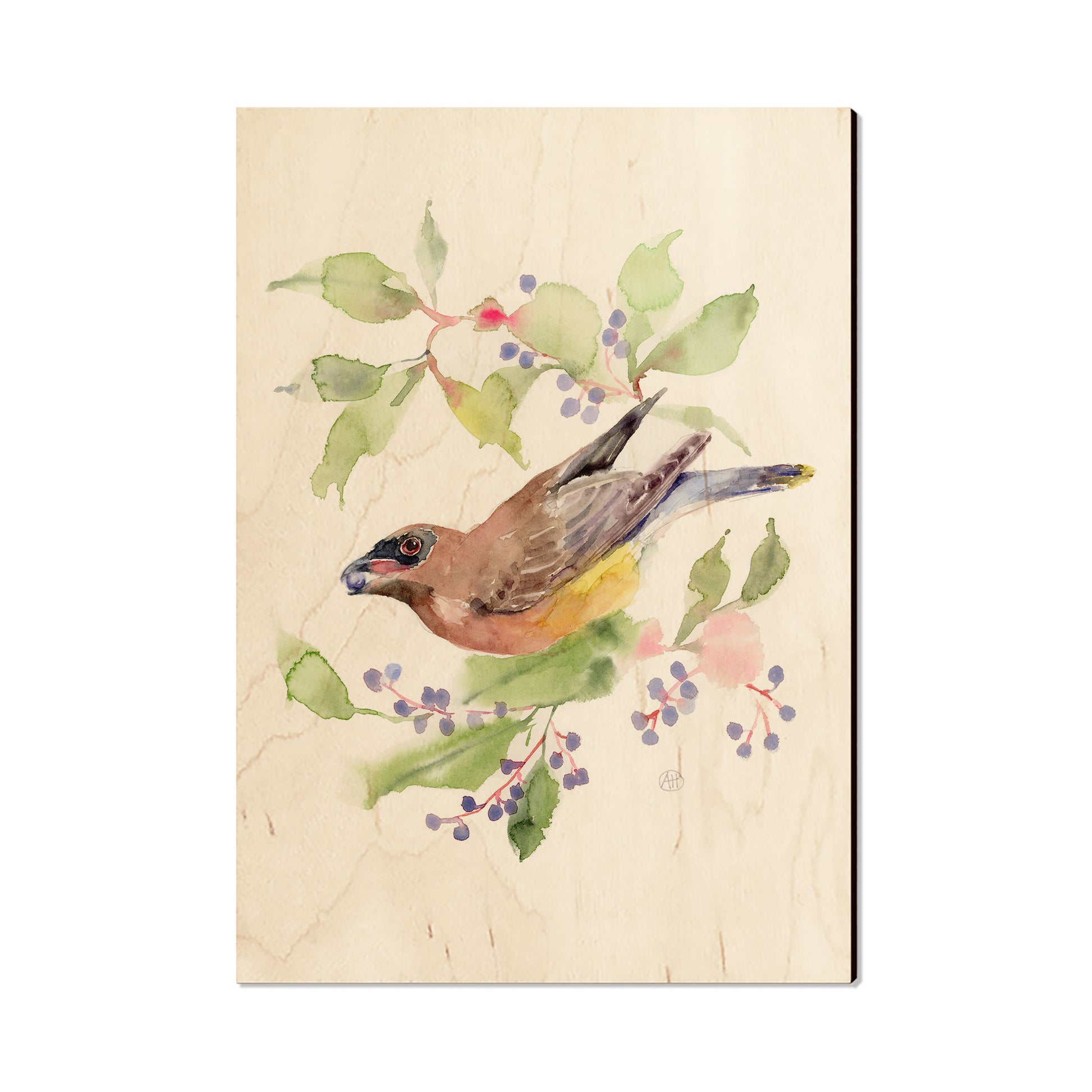 Henning's Berry Picker - Magnet Classic Edge Postcard (5pk // $2.80ea)