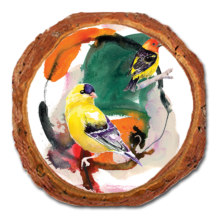 Coaster: Live Edge - Henning's Bird in Round (Pack of 5)