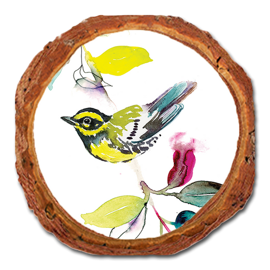 Coaster: Live Edge - Henning's Branch Warbler (Pack of 5)