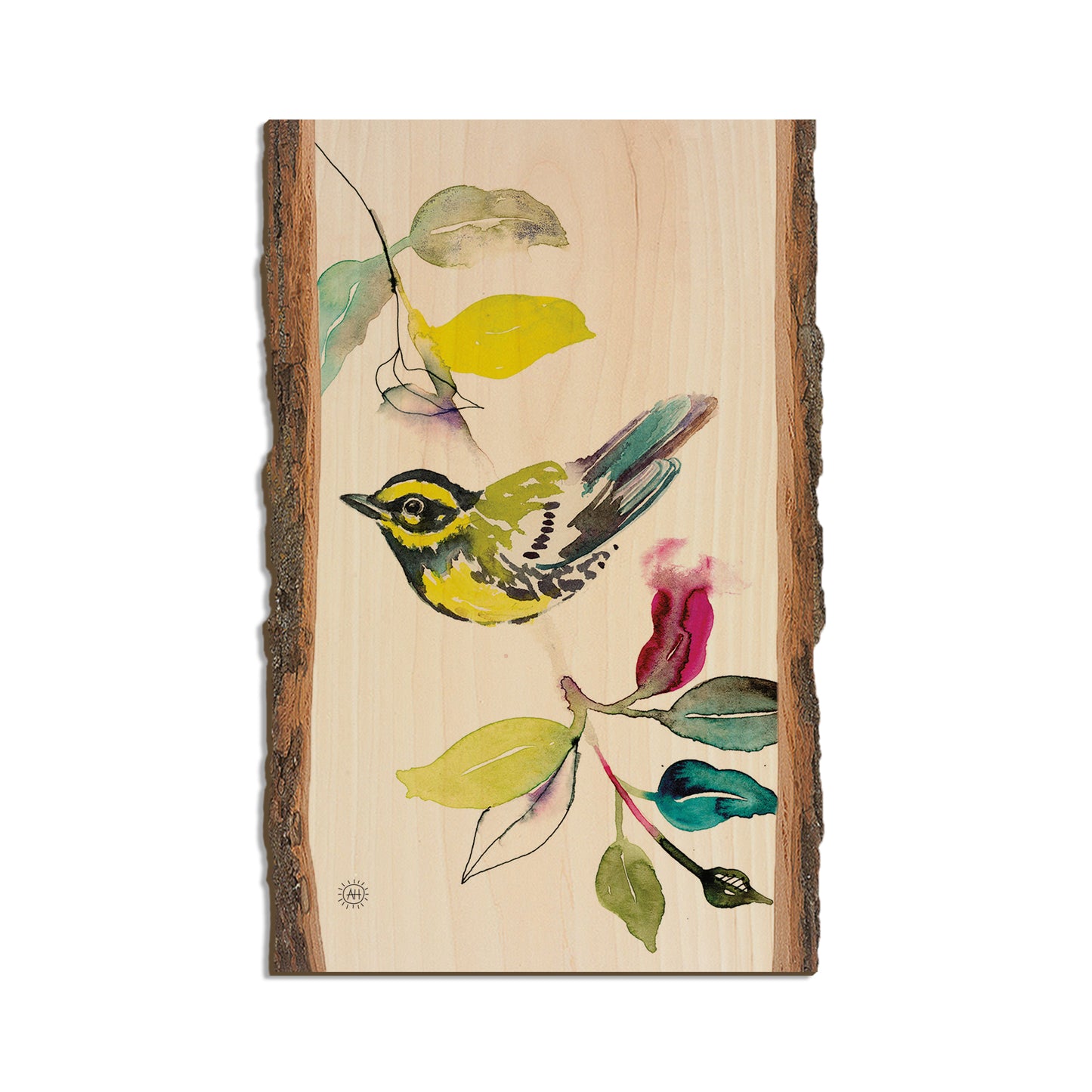 Henning's Branch Warbler - Live Edge Live Edge Magnet (5pk // $2.80ea)