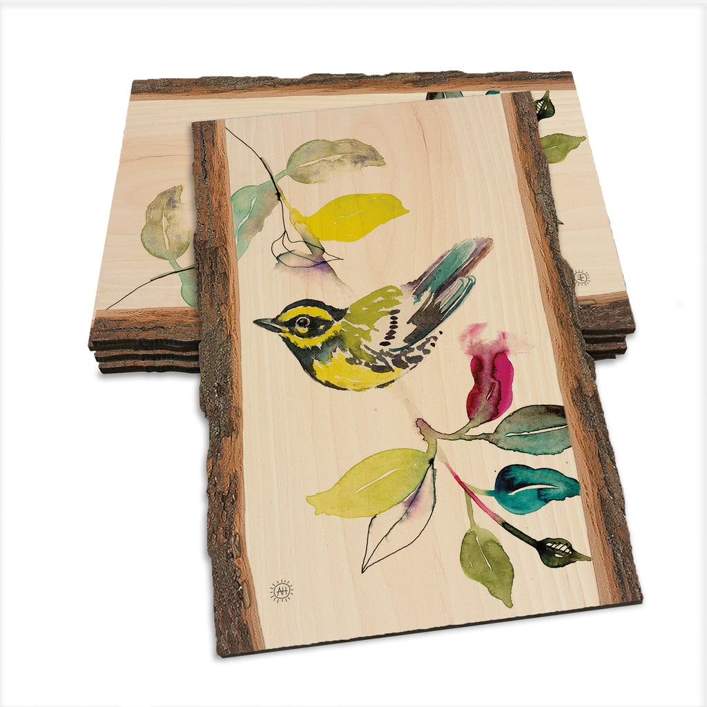 Henning's Branch Warbler - Live Edge Live Edge Postcard (5pk // $2.80ea)