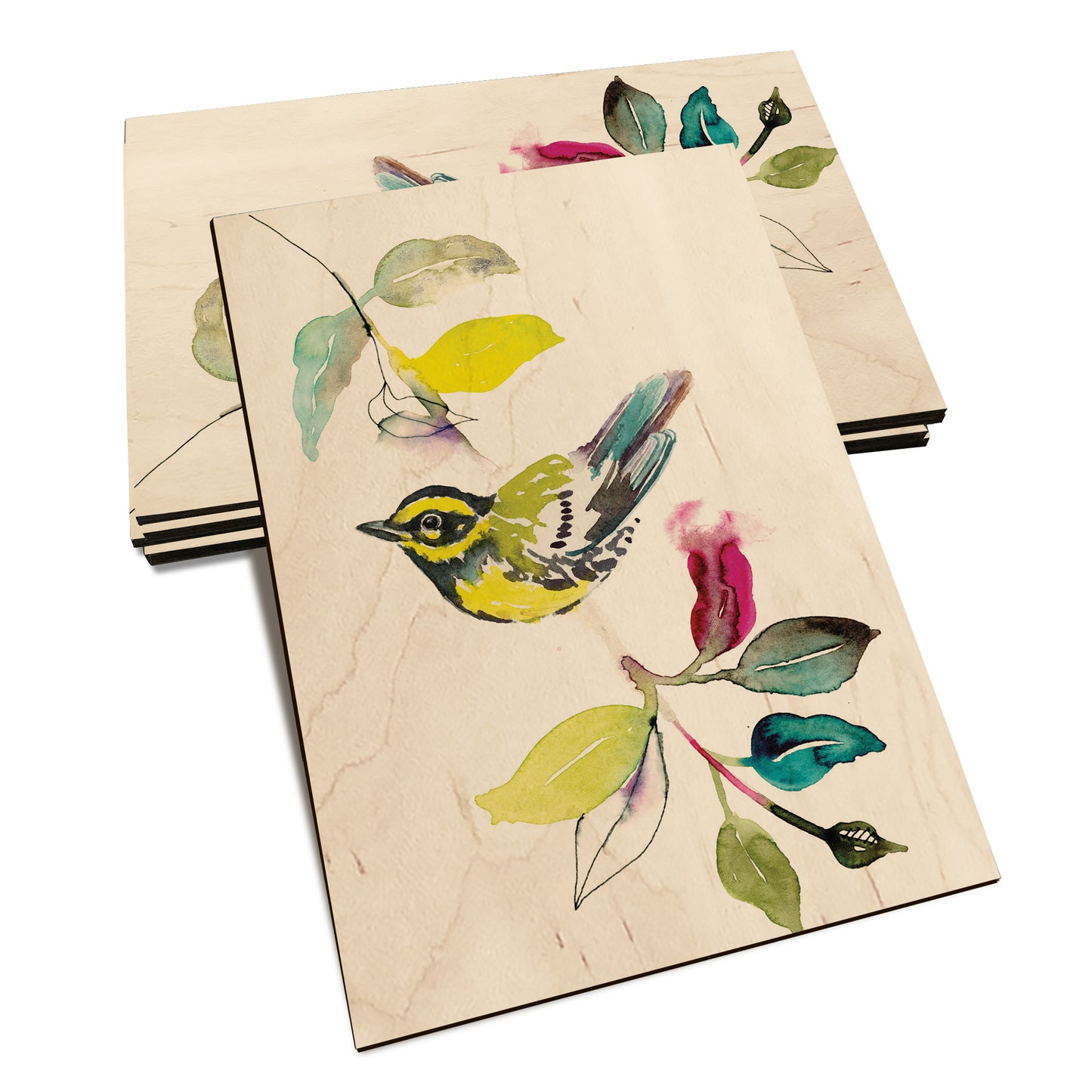 Henning's Branch Warbler - Classic Edge Classic Edge Postcard (5pk // $2.80ea)