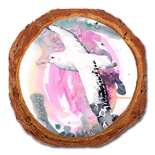 Coaster: Live Edge - Henning's Colorful Flight (Pack of 5)