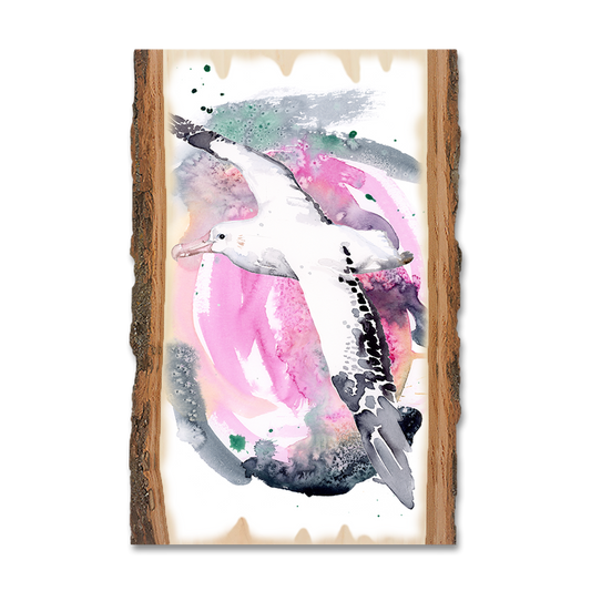 Greeting Card: Live Edge - Henning's Colorful Flight