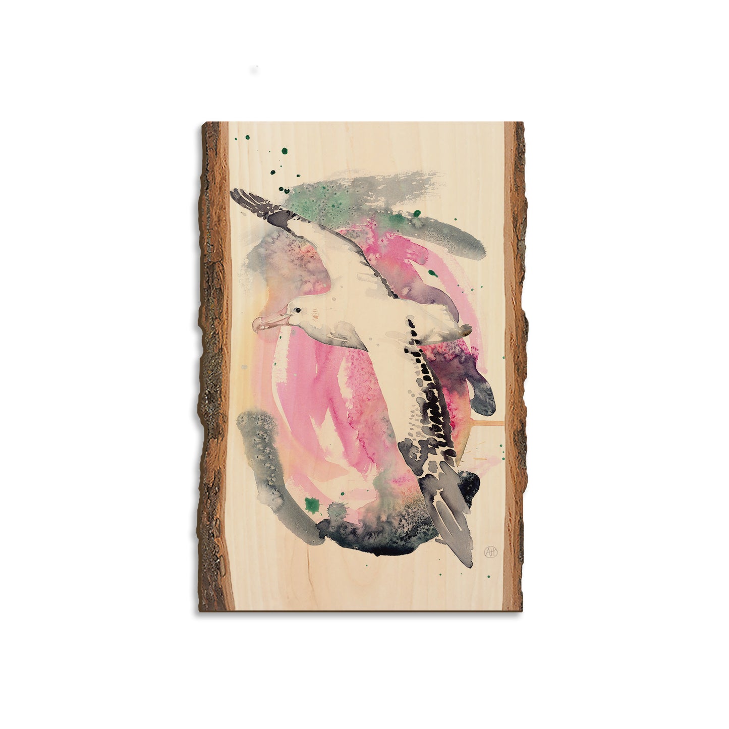 Henning's Colorful Flight - Live Edge Magnet Live Edge Magnet (5pk // $2.80ea)