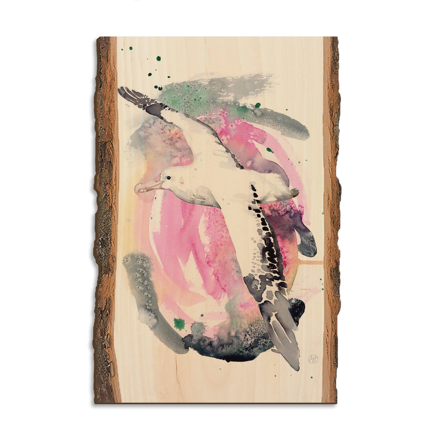 Henning's Colorful Flight - Live Edge Magnet Live Edge Postcard (5pk // $2.80ea)