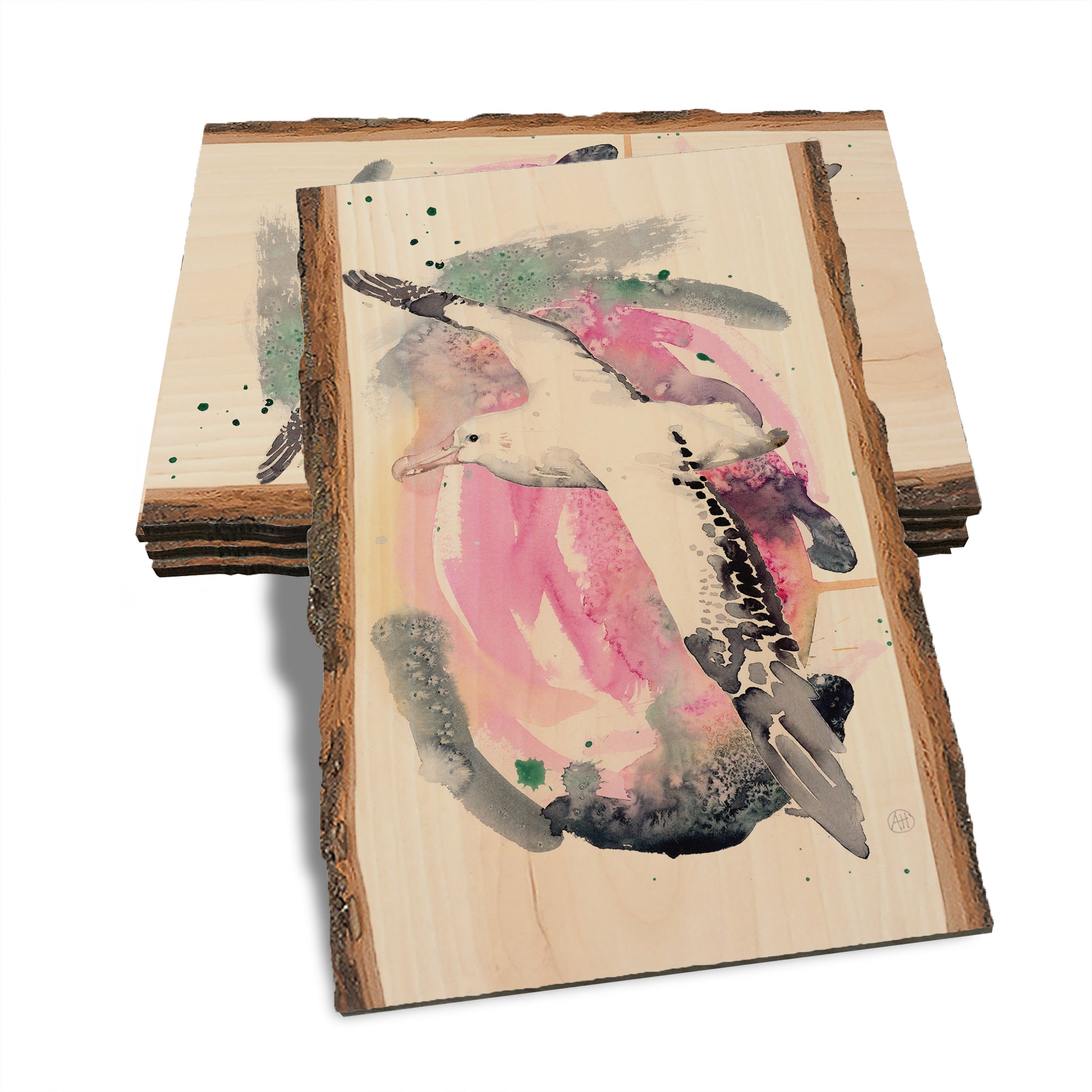 Henning's Colorful Flight - Live Edge Live Edge Postcard (5pk // $2.80ea)