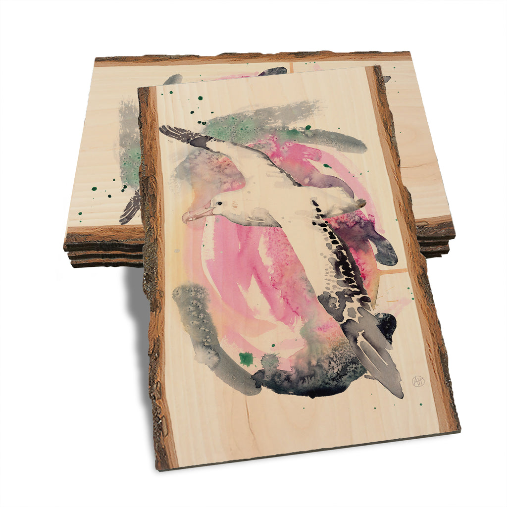 Henning's Colorful Flight - Live Edge Live Edge Postcard (5pk // $2.80ea)