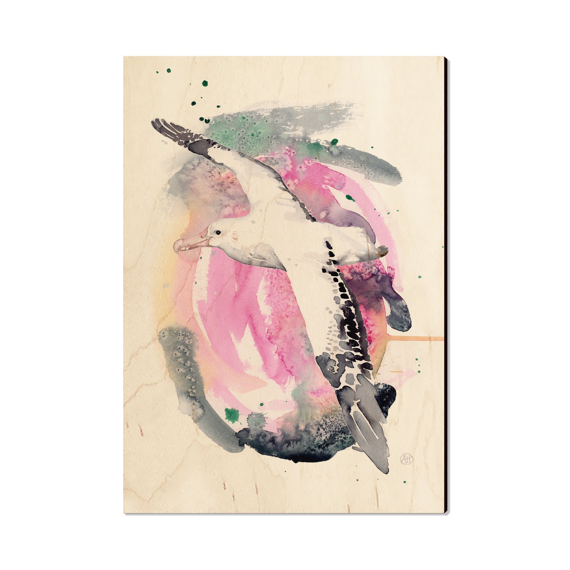 Henning's Colorful Flight - Magnet Classic Edge Postcard (5pk // $2.80ea)