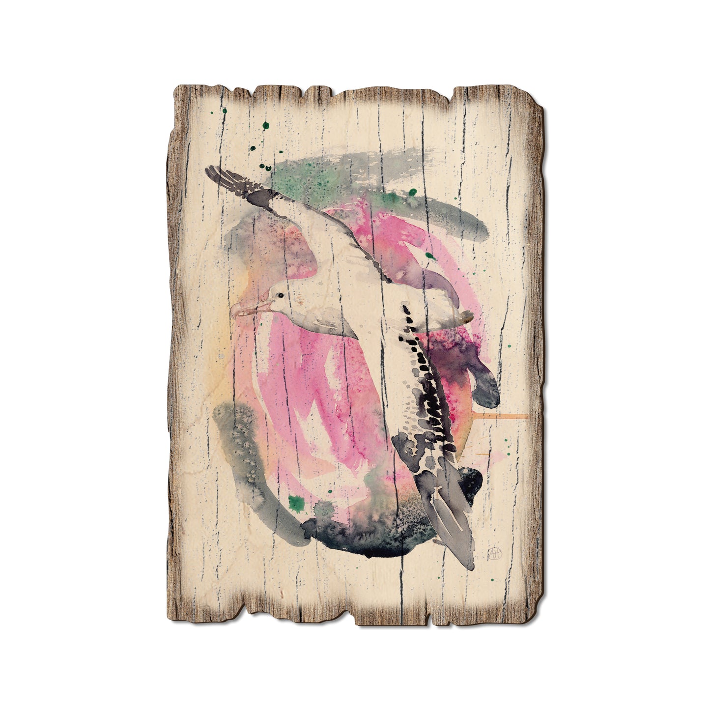 Henning's Colorful Flight - Weathered Edge Magnet Weathered Edge Postcard (5pk // $2.80ea)