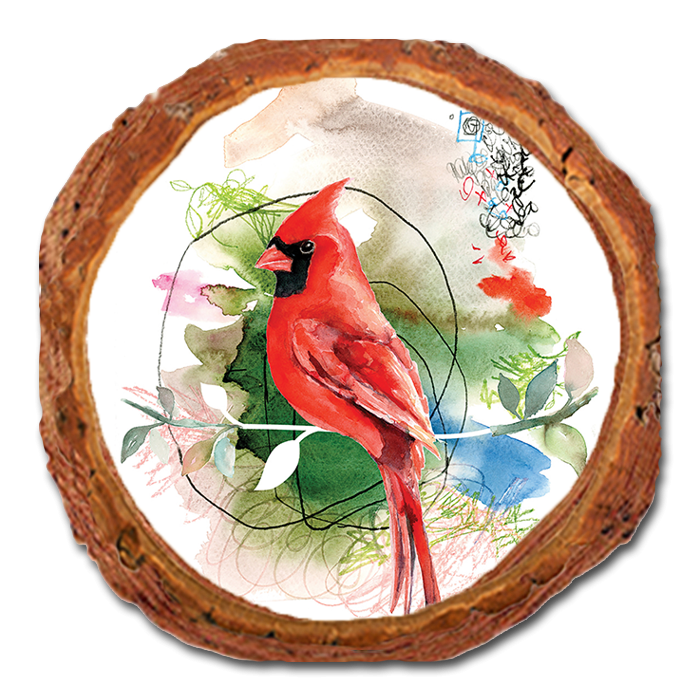 Coaster: Live Edge - Henning's Cardinal Stem (Pack of 5)