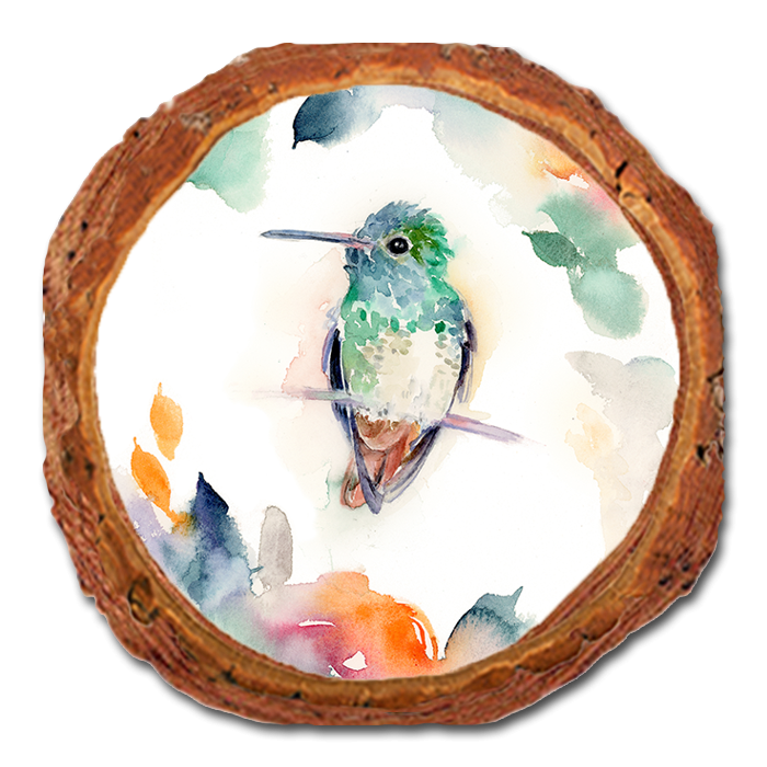 Coaster: Live Edge - Henning's Fuzzy Head (Pack of 5)