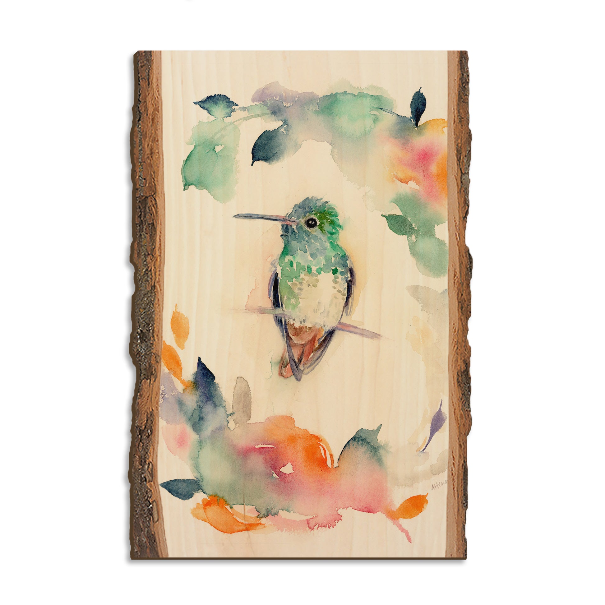 Henning's Fuzzy Head - Live Edge Magnet Live Edge Postcard (5pk // $2.80ea)