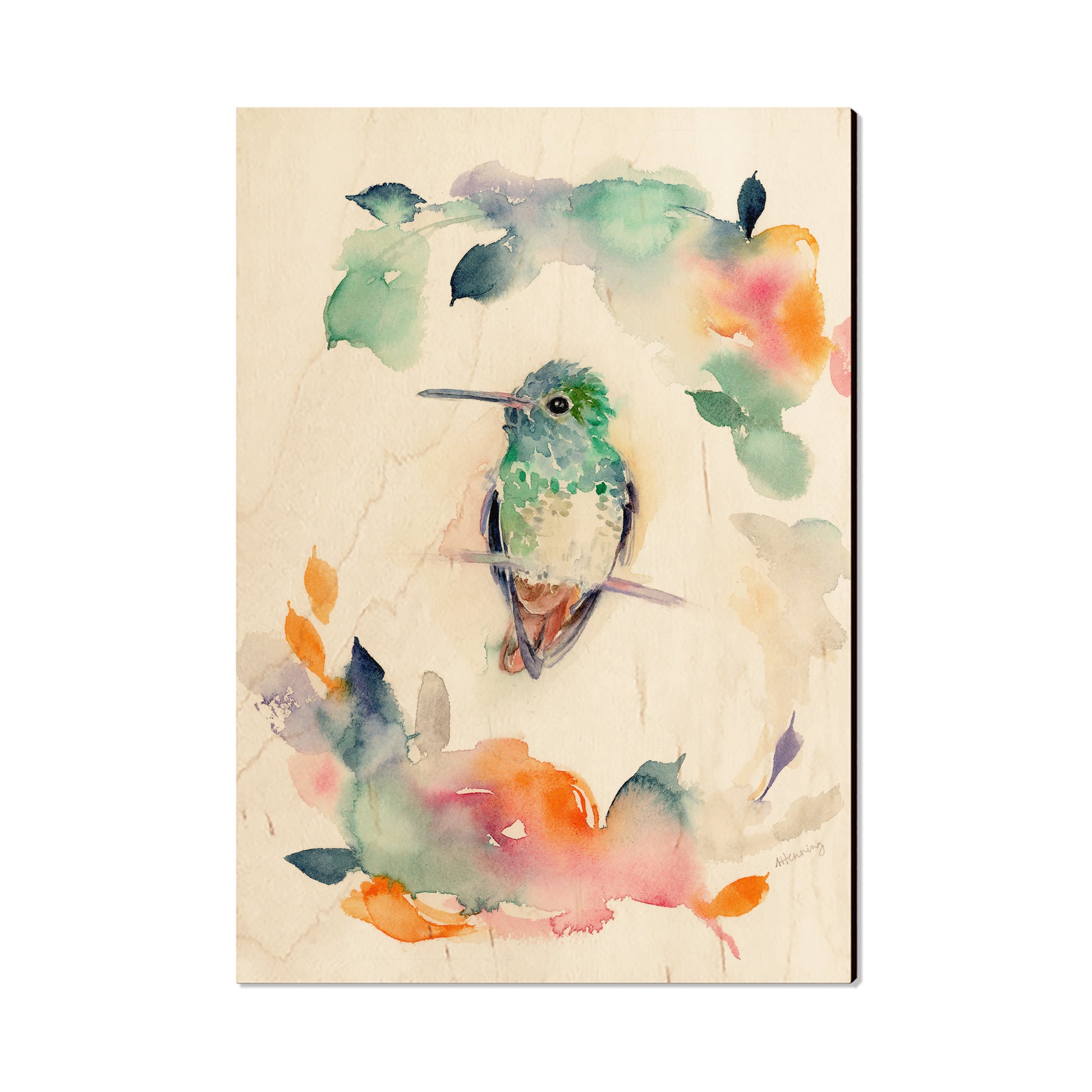 Henning's Fuzzy Head - Magnet Classic Edge Postcard (5pk // $2.80ea)