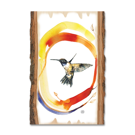 Magnet: Live Edge - Henning's Hummingbird Circle
