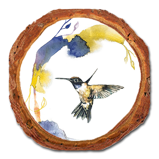 Coaster: Live Edge - Henning's Left Flight Crescent (Pack of 5)