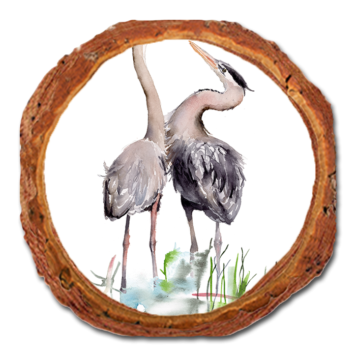 Coaster: Live Edge - Henning's Long Neck Love (Pack of 5)