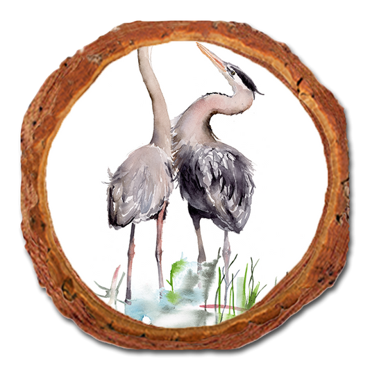Coaster: Live Edge - Henning's Long Neck Love (Pack of 5)