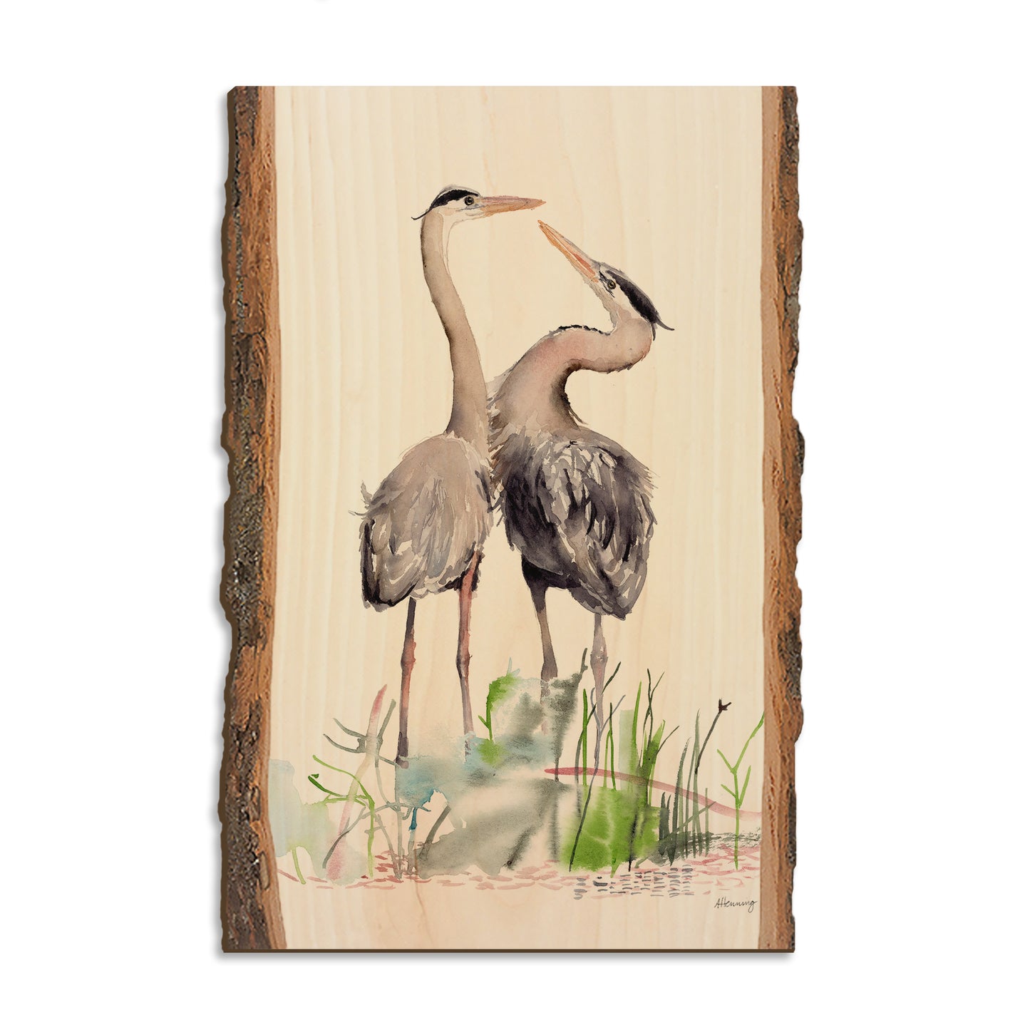 Henning's Long Neck Love - Live Edge Magnet Live Edge Postcard (5pk // $2.80ea)