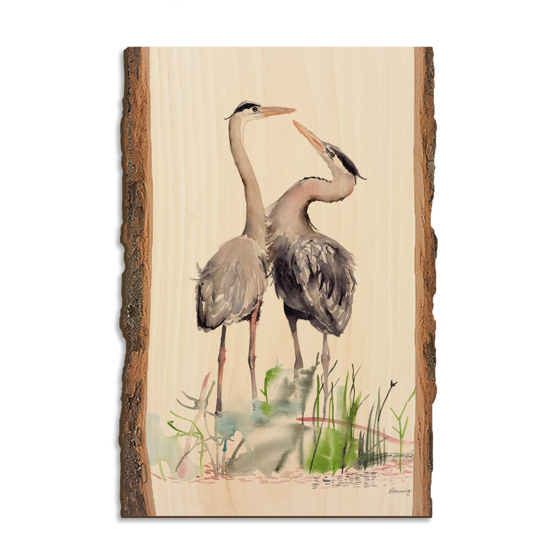 Henning's Long Neck Love - Live Edge Magnet Live Edge Postcard (5pk // $2.80ea)