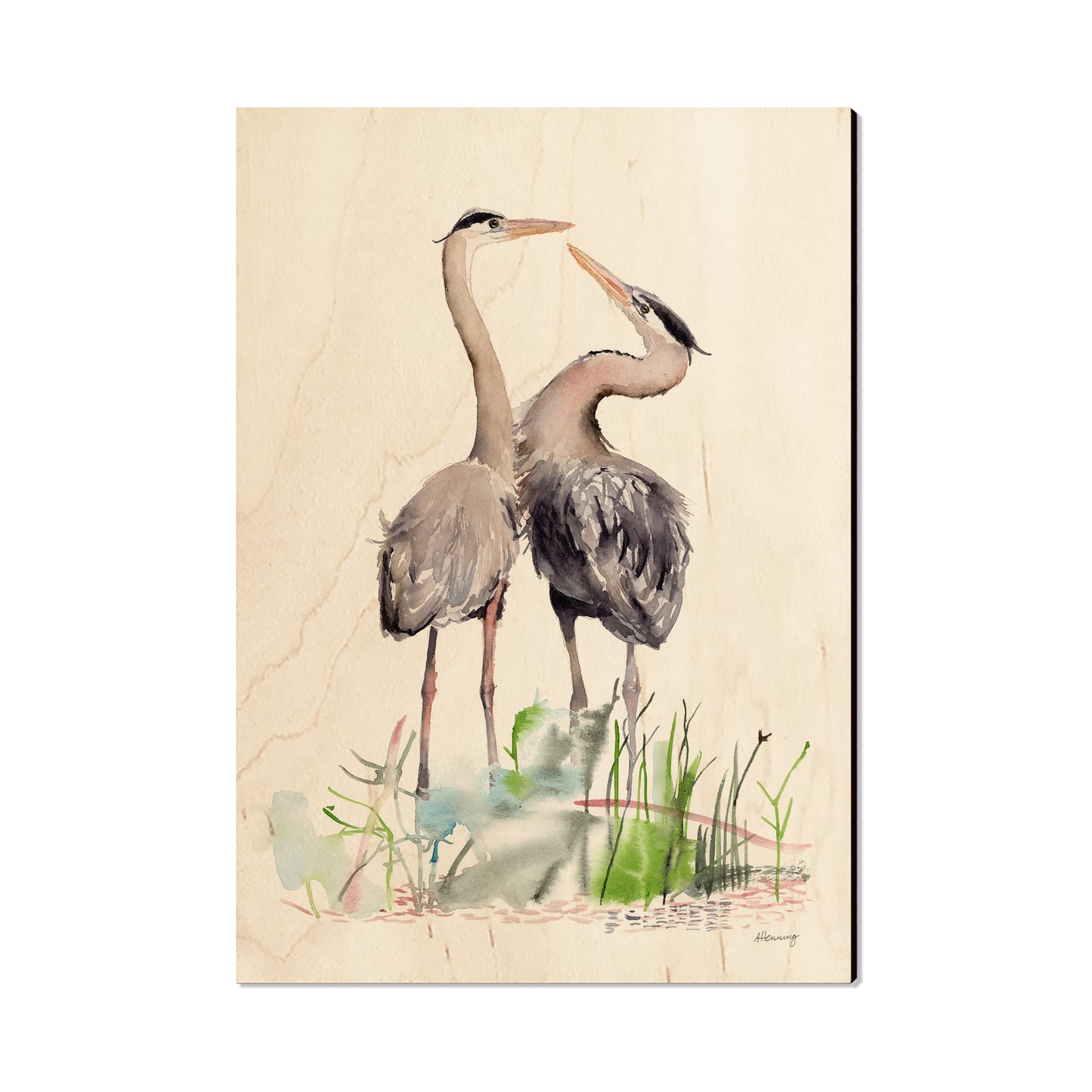 Henning's Long Neck Love - Magnet Classic Edge Postcard (5pk // $2.80ea)