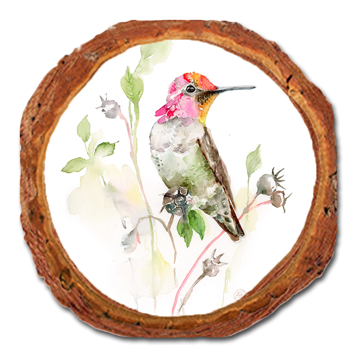 Coaster: Live Edge - Henning's Marvins Hummer (Pack of 5)