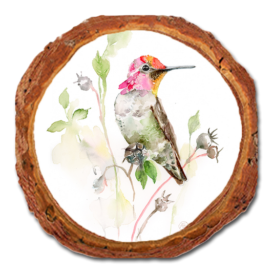 Coaster: Live Edge - Henning's Marvins Hummer (Pack of 5)