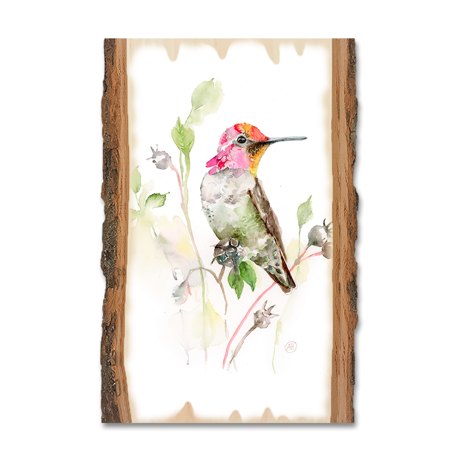 Postcard: Live Edge - Henning's Marvins Hummer