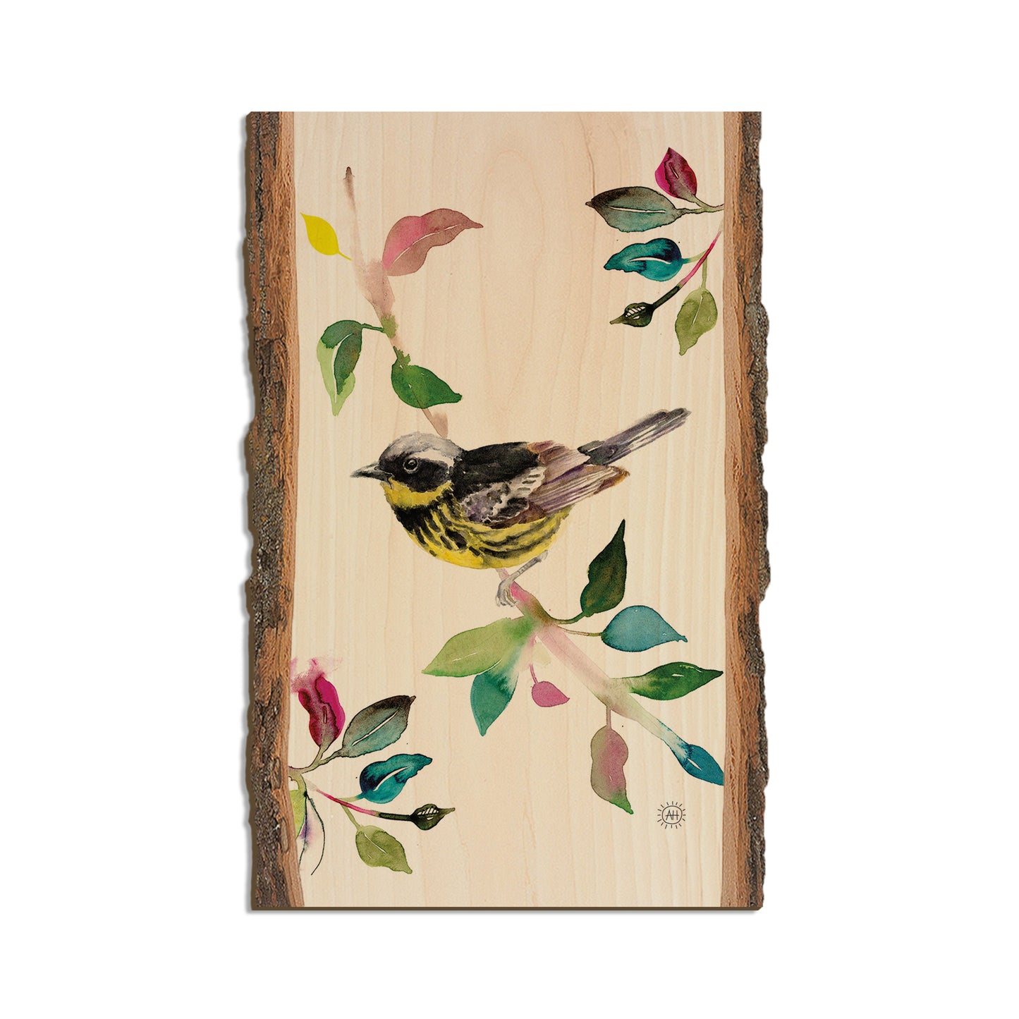 Henning's Magnolia Warbler - Live Edge Live Edge Magnet (5pk // $2.80ea)