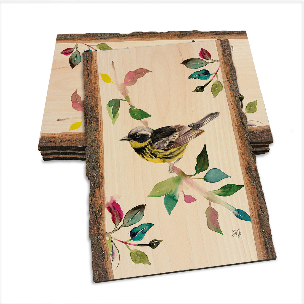 Henning's Magnolia Warbler - Live Edge Live Edge Postcard (5pk // $2.80ea)
