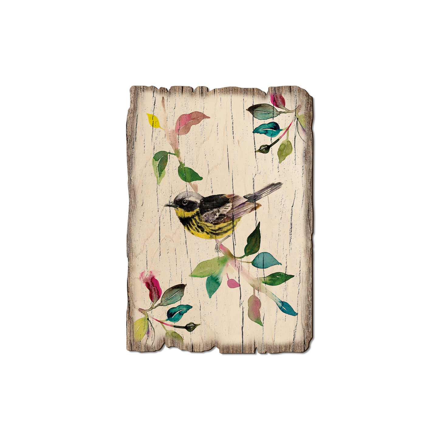 Henning's Magnolia Warbler - Rustic Edge Postcards & Magnets Rustic Edge Magnet (5pk // $2.80ea)