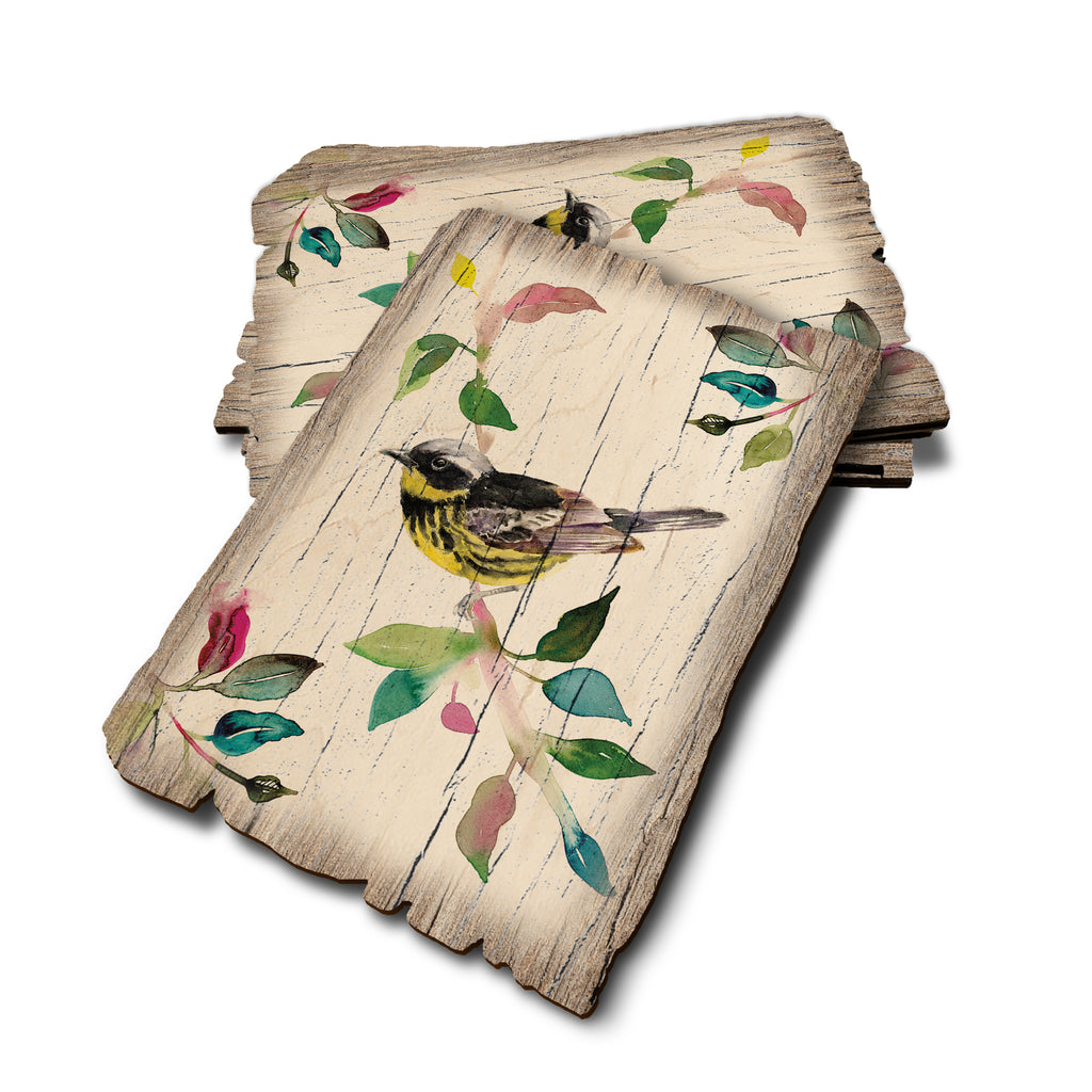 Henning's Magnolia Warbler - Weathered Edge Rustic Edge Postcard (5pk // $2.80ea)