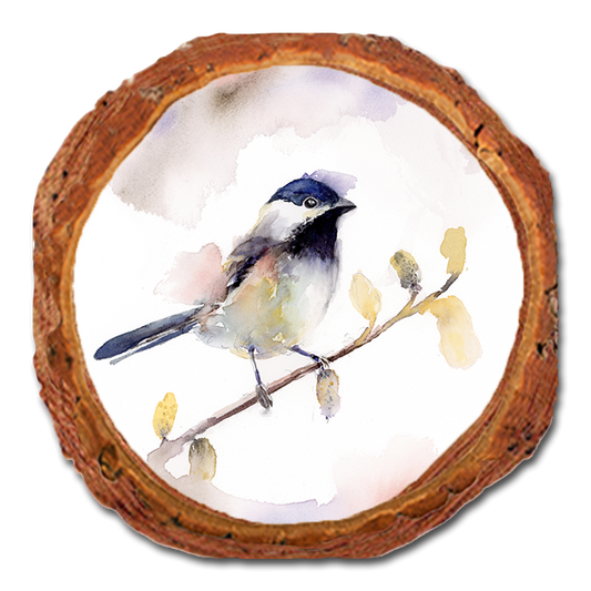 Coaster: Live Edge - Henning's One Black Cap (Pack of 5)