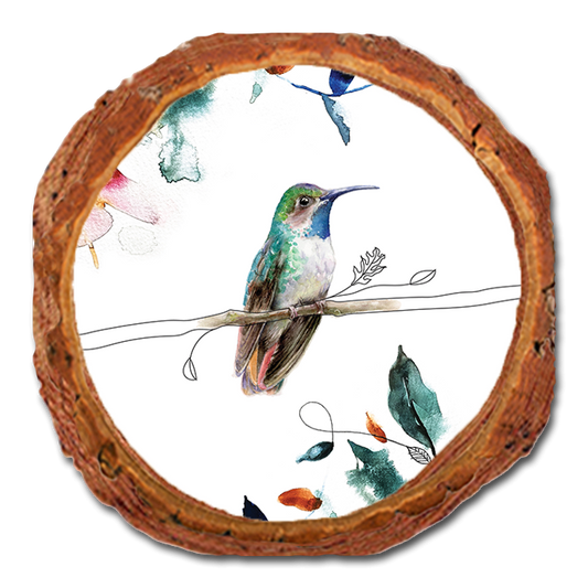 Coaster: Live Edge - Henning's One Pollinator (Pack of 5)