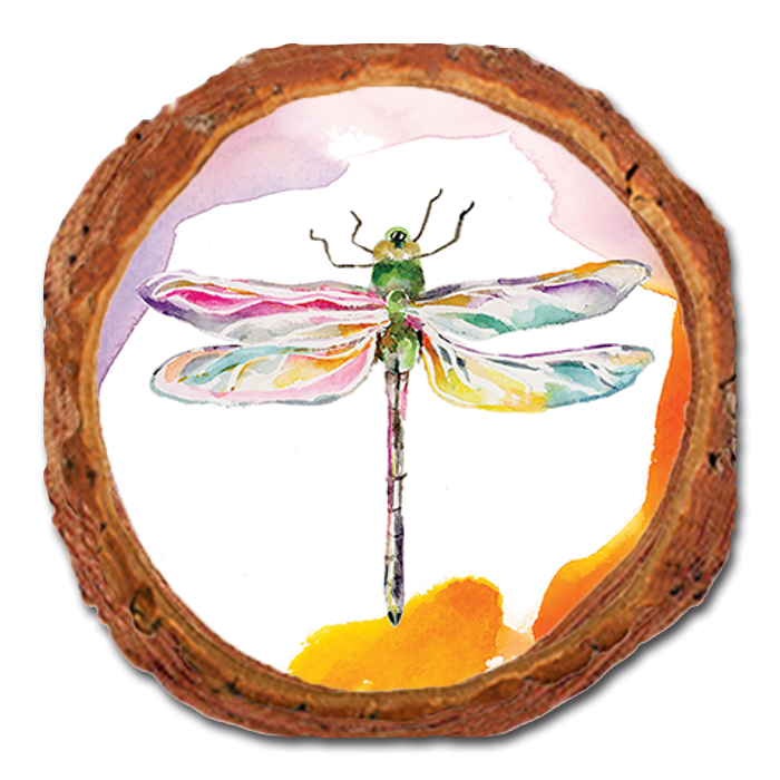 Coaster: Live Edge - Henning's Pink Dragonfly (Pack of 5)