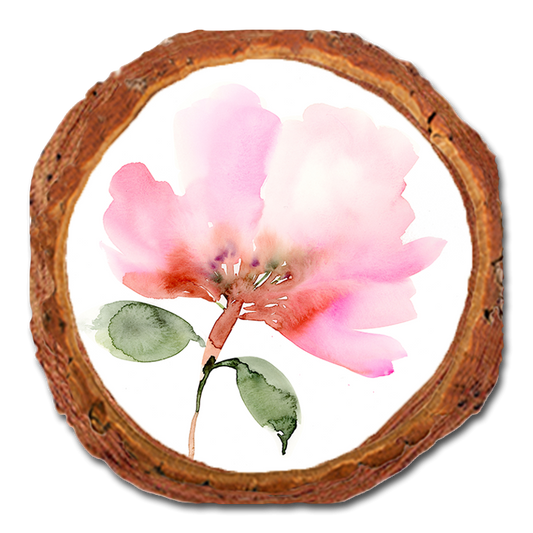 Coaster: Live Edge - Henning's Pink Flower Moth (Pack of 5)