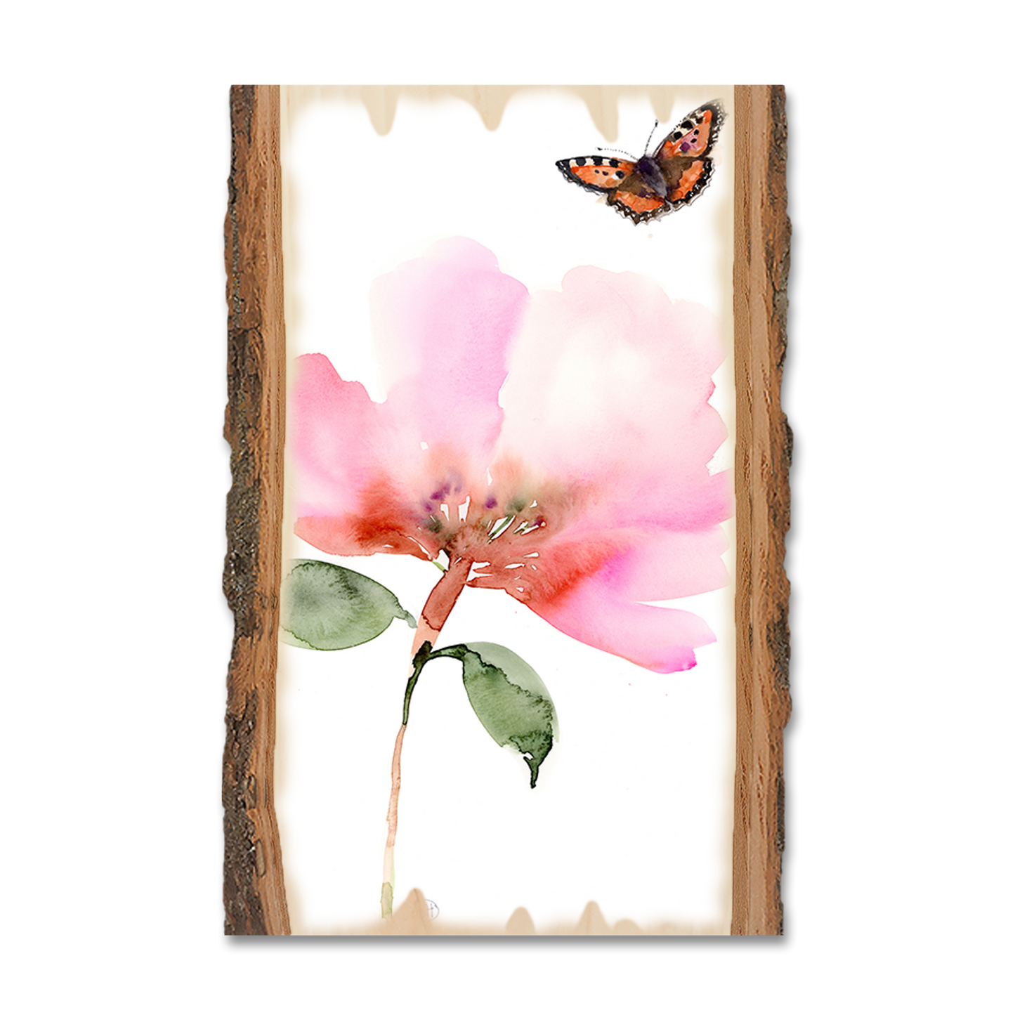 Greeting Card: Live Edge - Henning's Pink Flower Moth