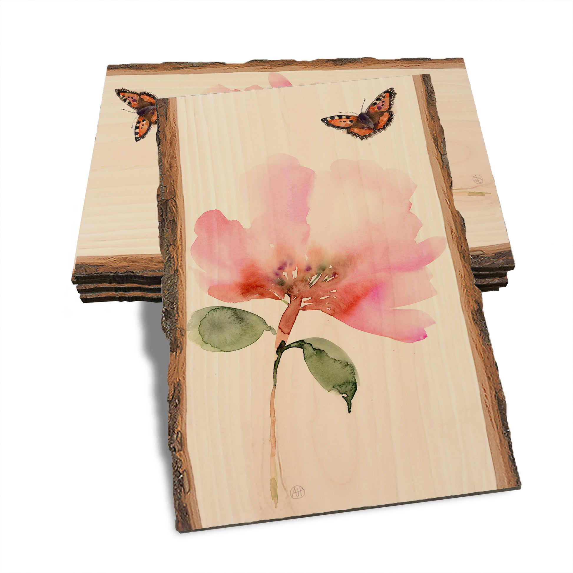 Henning's Pink Flower Moth - Live Edge Live Edge Postcard (5pk // $2.80ea)