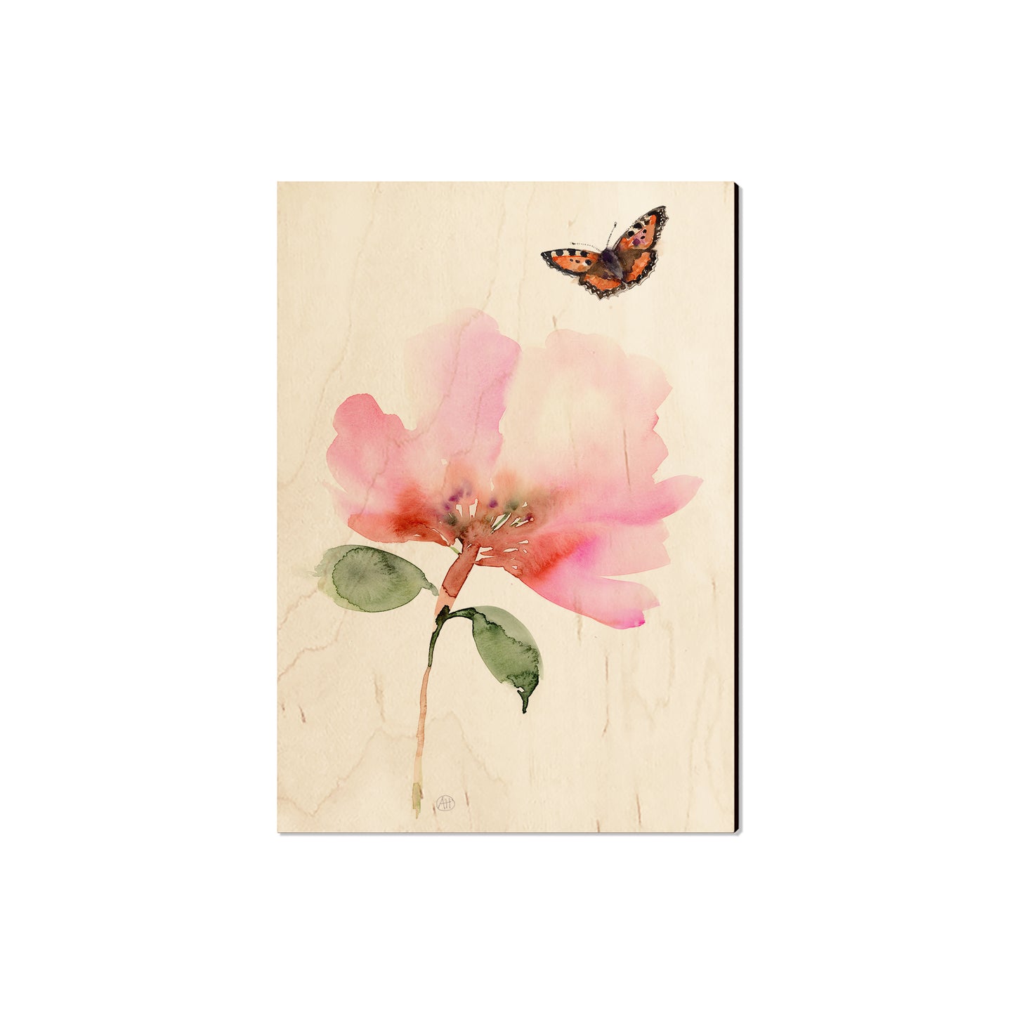 Henning's Pink Flower Moth - Magnet Classic Edge Magnet (5pk // $2.80ea)