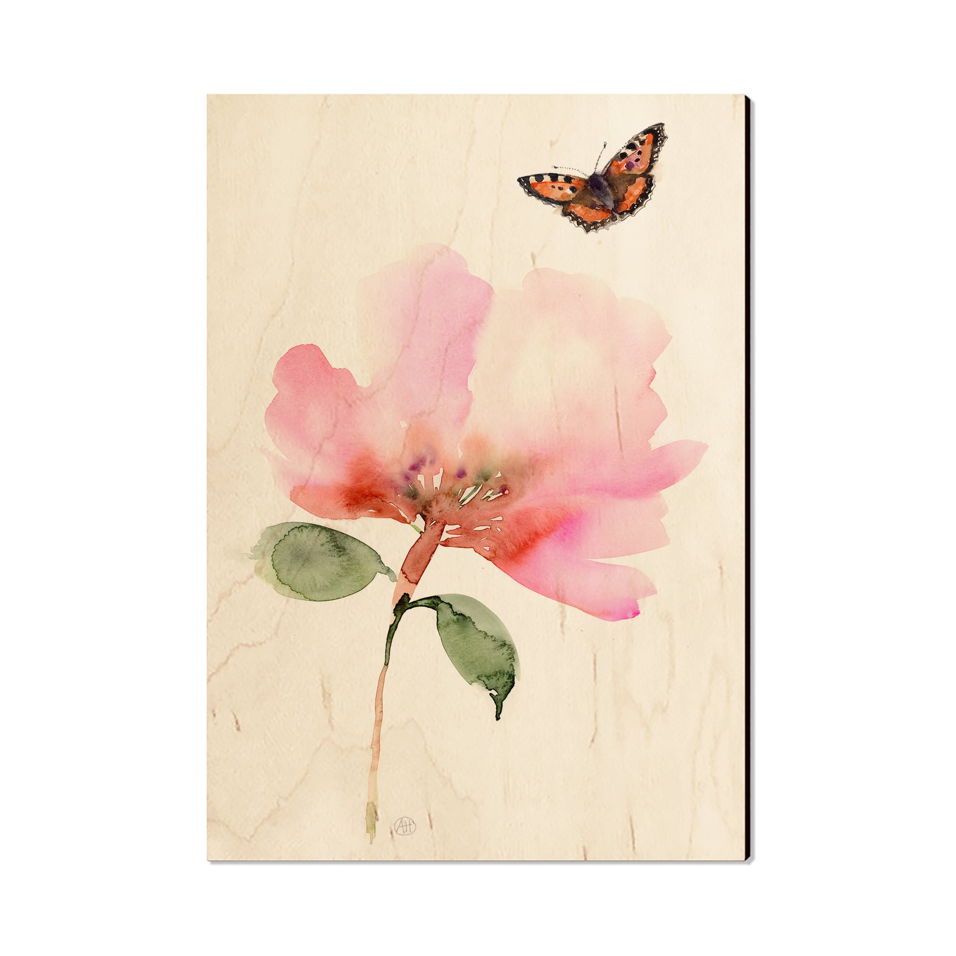 Henning's Pink Flower Moth - Magnet Classic Edge Postcard (5pk // $2.80ea)