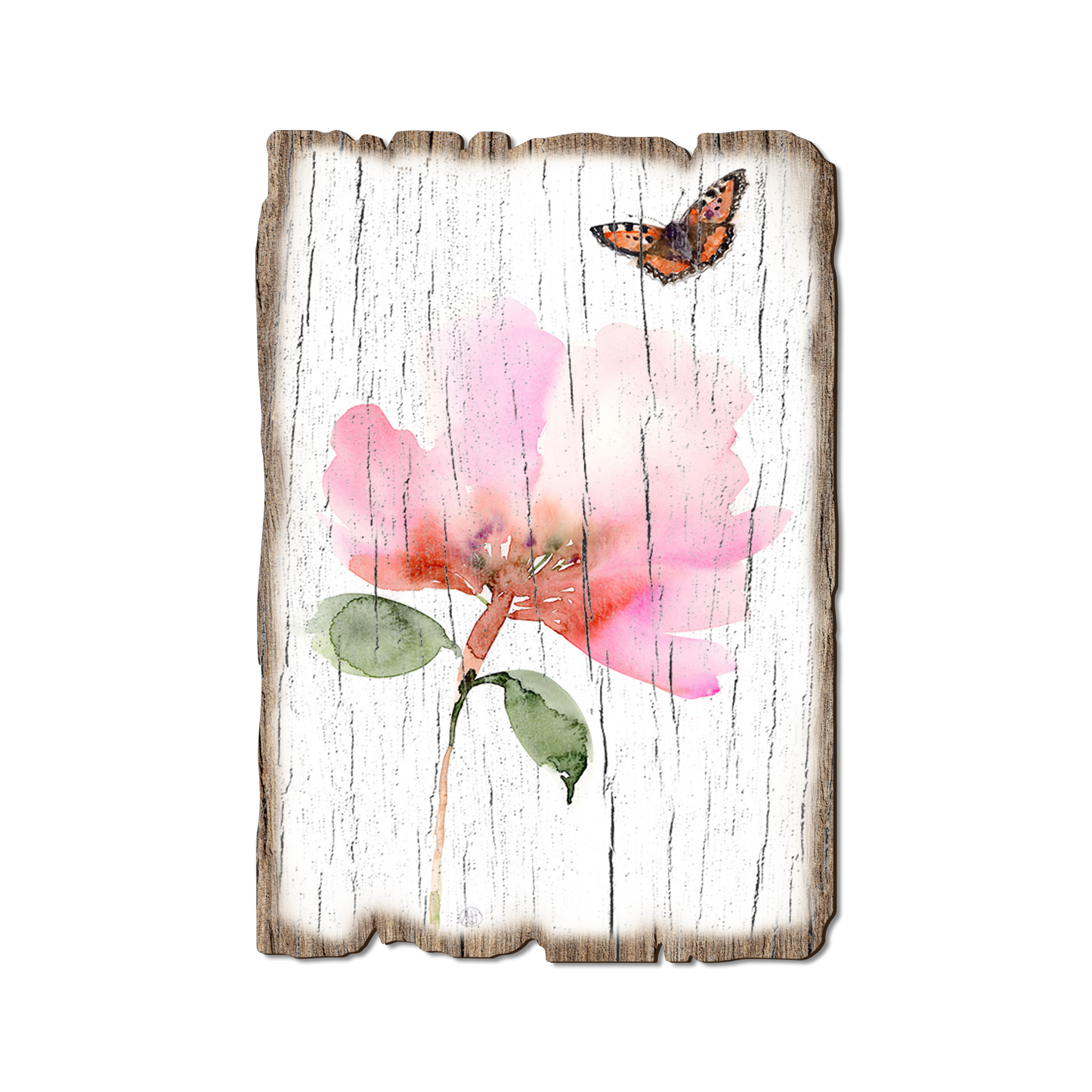 Ornament: Weathered Edge - Henning's Pink Flower Moth (Pack of 5)