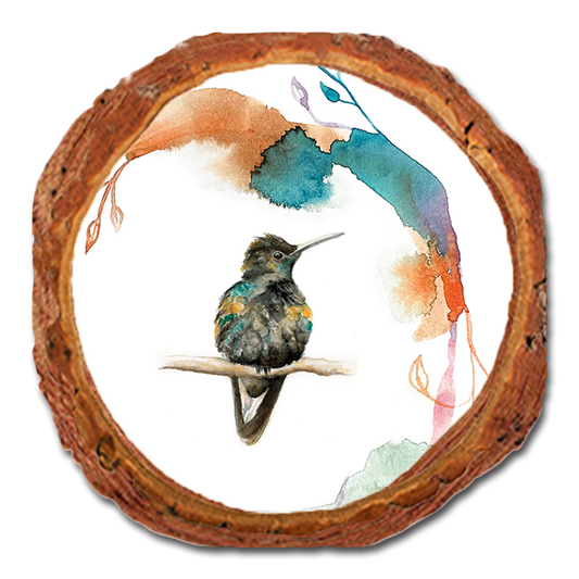 Coaster: Live Edge - Henning's Sitting Crescent (Pack of 5)