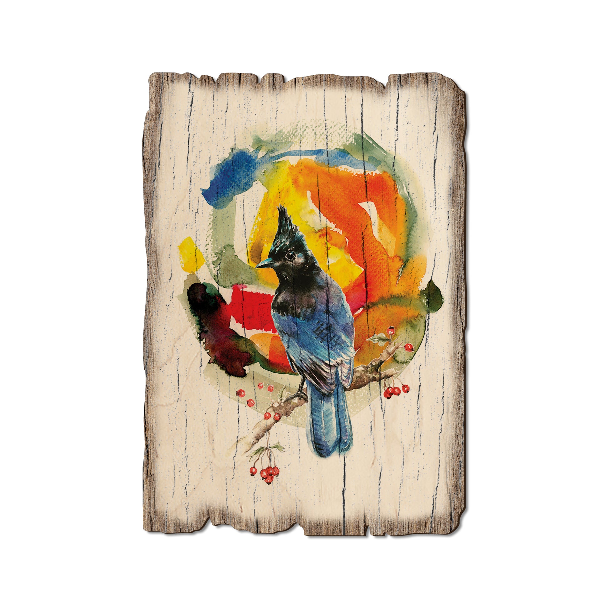 Henning's Steller Color - Rustic Edge Postcards & Magnets Rustic Edge Postcard (5pk // $2.80ea)