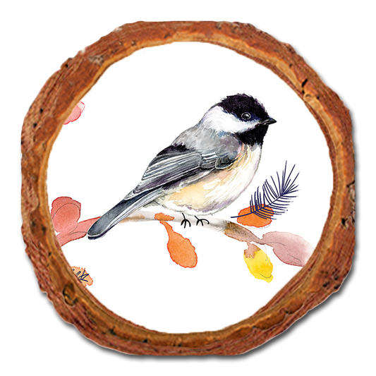 Coaster: Live Edge - Henning's Three Branch Chickadee (Pack of 5)