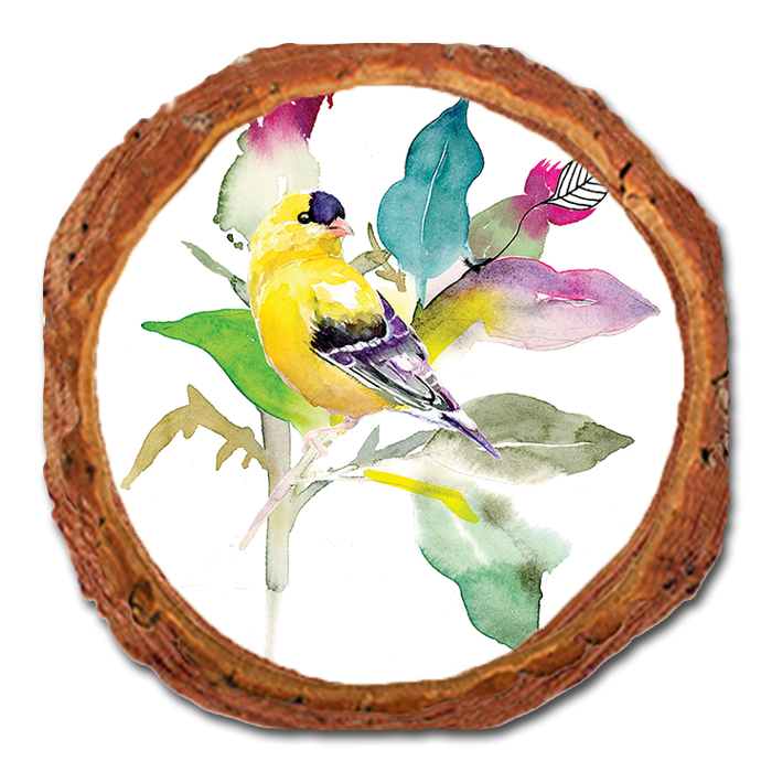 Coaster: Live Edge - Henning's Thistle Finch (Pack of 5)