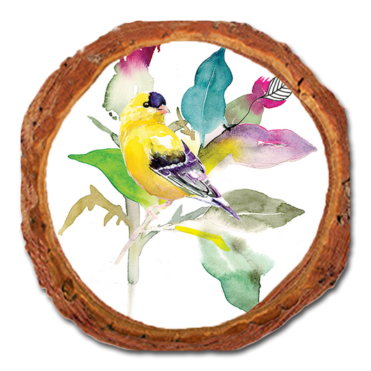 Coaster: Live Edge - Henning's Thistle Finch (Pack of 5)