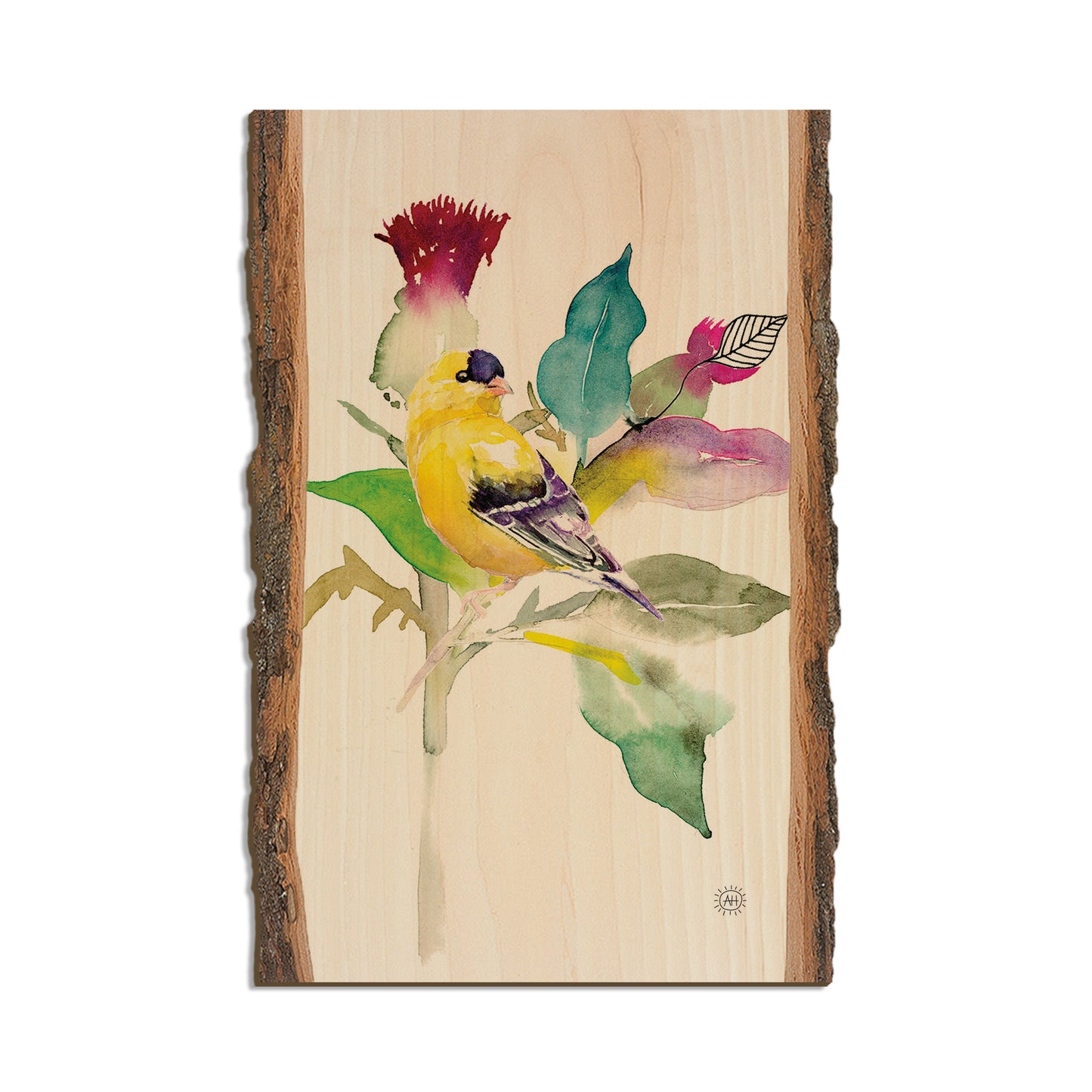 Henning's Thistle Finch - Live Edge Live Edge Postcard  (5pk // $2.80ea)
