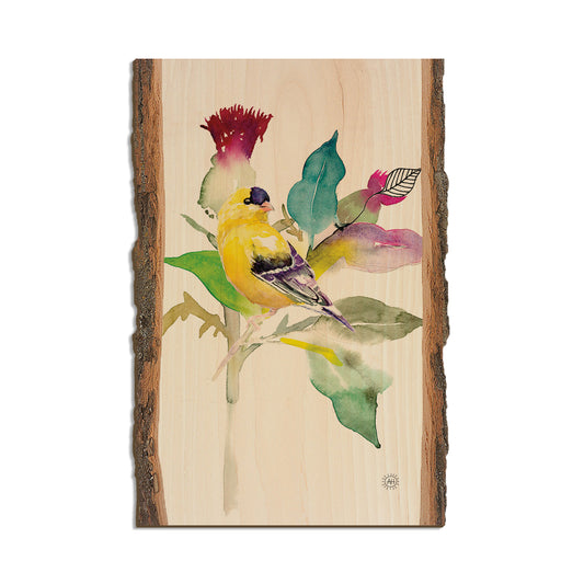Henning's Thistle Finch - Live Edge Live Edge Postcard  (5pk // $2.80ea)