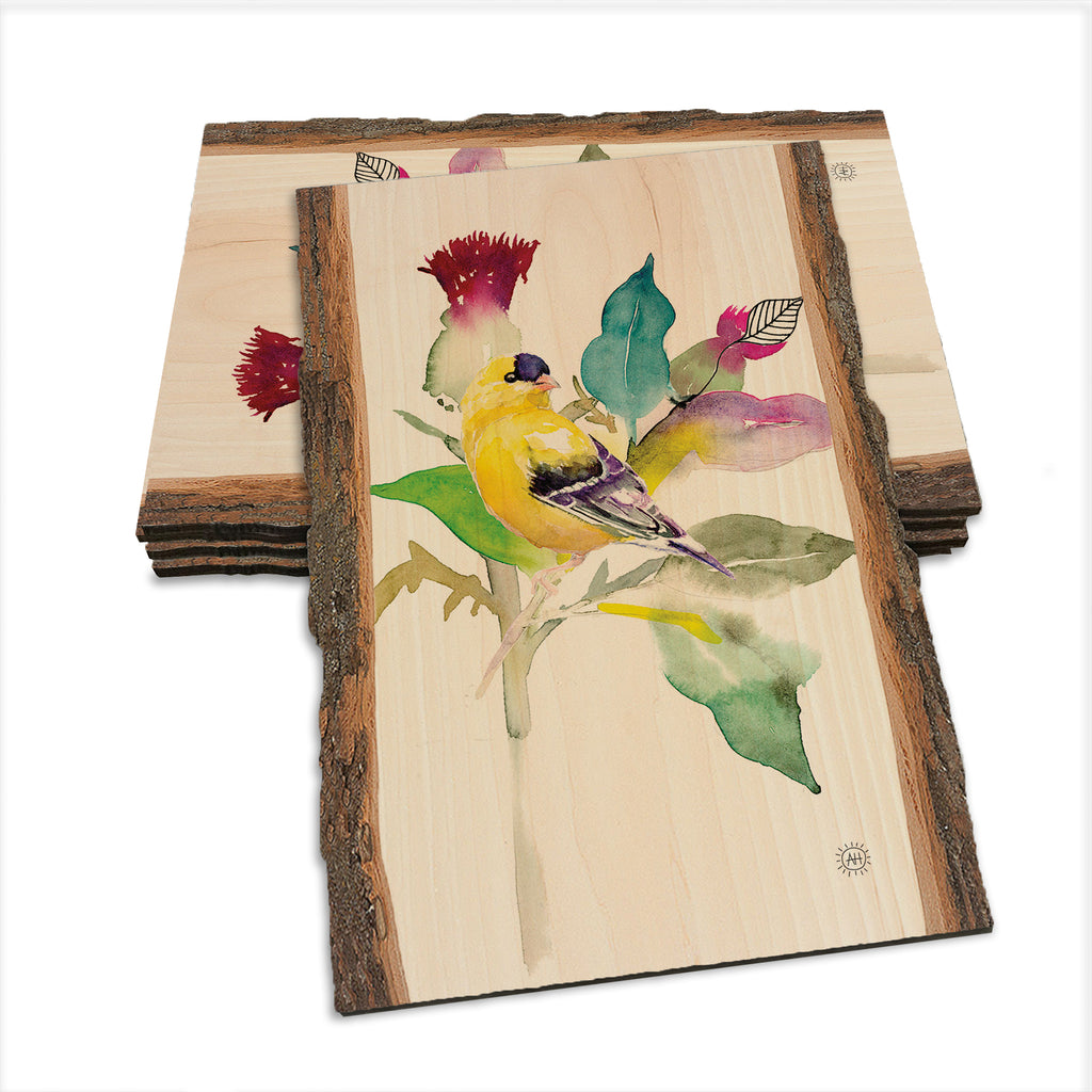 Henning's Thistle Finch - Live Edge Live Edge Postcard (5pk // $2.80ea)